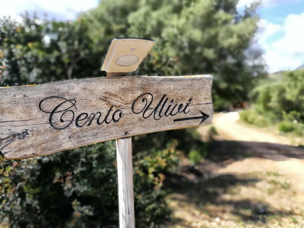 Cento Ulivi B&B Golfo Aranci Exterior foto